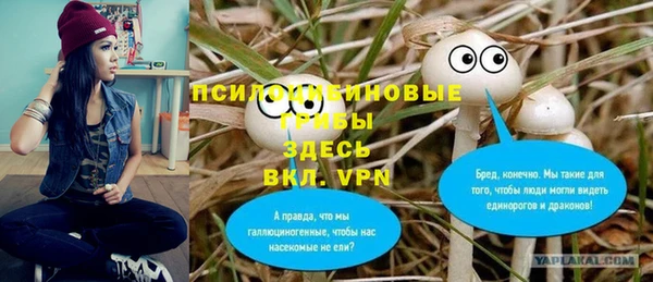 прущие грибы Алзамай
