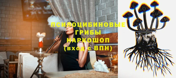 прущие грибы Алзамай