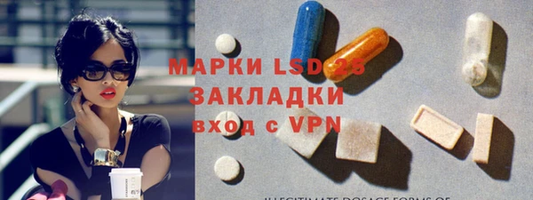 прущие грибы Алзамай