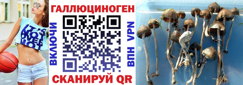 Псилоцибиновые грибы мухоморы  наркота  Первоуральск 